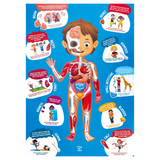 Hape | Human Body Puzzle 50pc