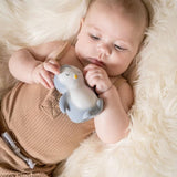 Tikiri | My 1st Arctic Penguin Rattle & Bath Toy (Gift Box)